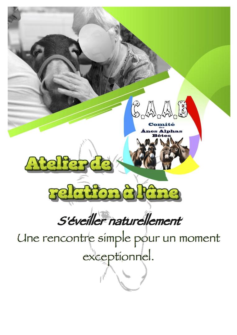 Pre sentation atelier de relation a l a ne